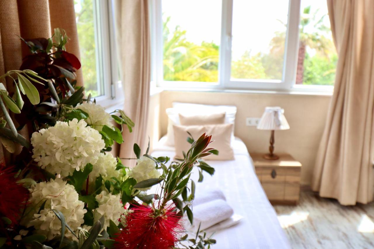ボズカーダ ケメルバグ 29 ゲスト ハウス Bed & Breakfast エクステリア 写真